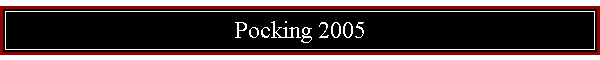 Pocking 2005