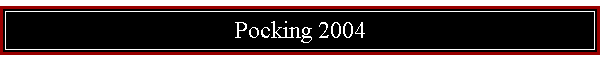 Pocking 2004
