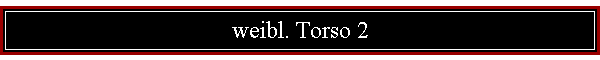 weibl. Torso 2