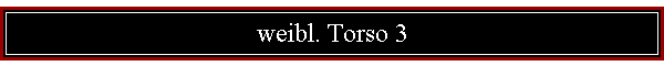 weibl. Torso 3